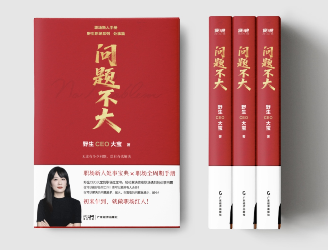 《问题不大》书封